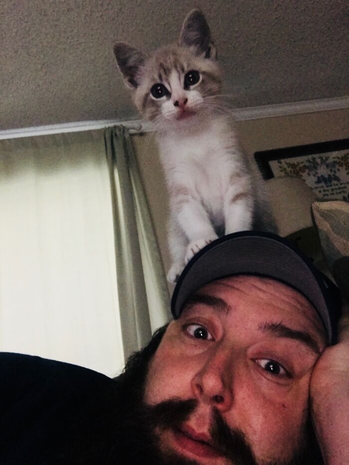 Hey Pandas, Post The Funniest Pictures Of Your Pets (Closed)