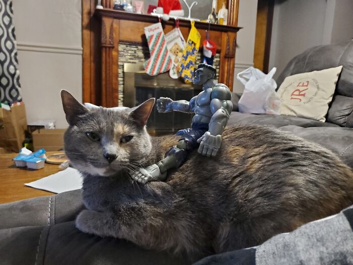 Hey Pandas, Post The Funniest Pictures Of Your Pets (Closed)