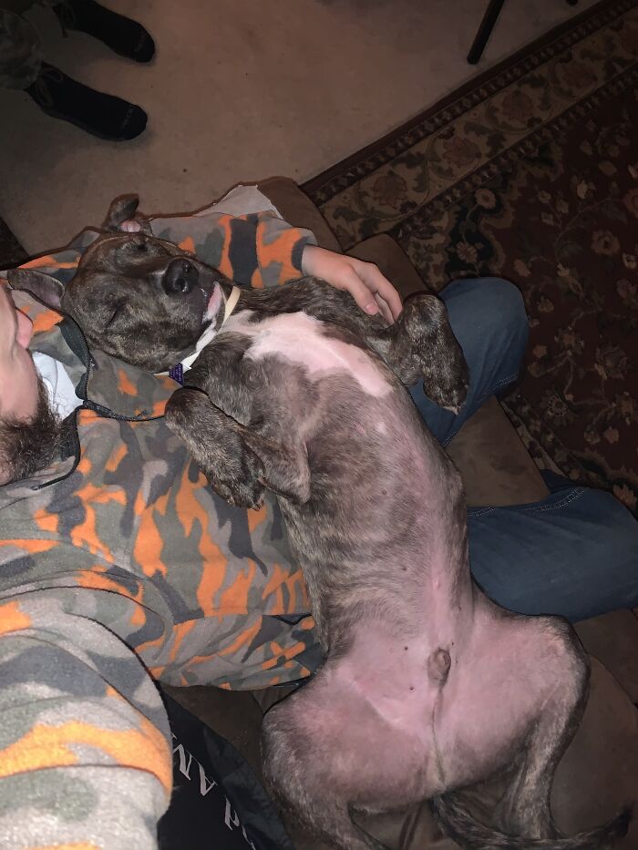 Hey Pandas, Post The Funniest Pictures Of Your Pets (Closed)