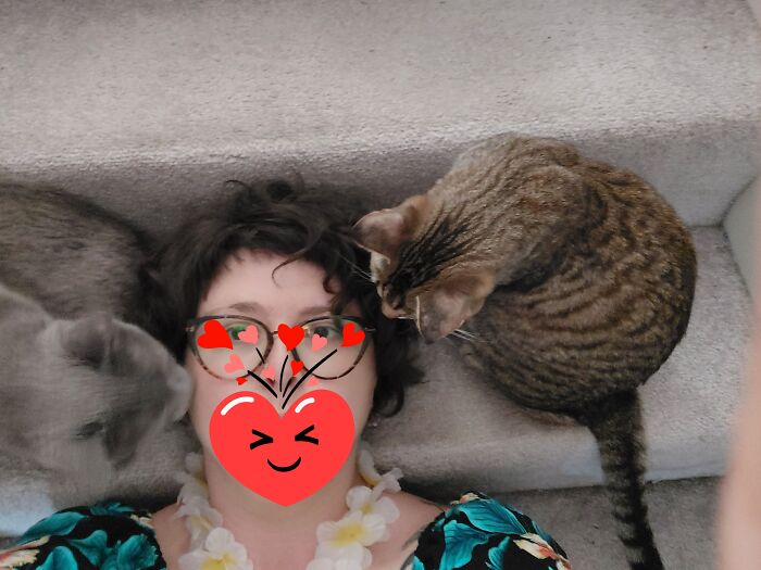 Hey Pandas, Post The Funniest Pictures Of Your Pets (Closed)