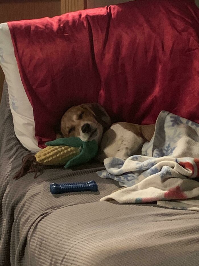 Hey Pandas, Post The Weirdest Image You Have Saved On Your Phone (Closed) Hey Pandas, Post The Weirdest Image You Have Saved On Your Phone (Closed)