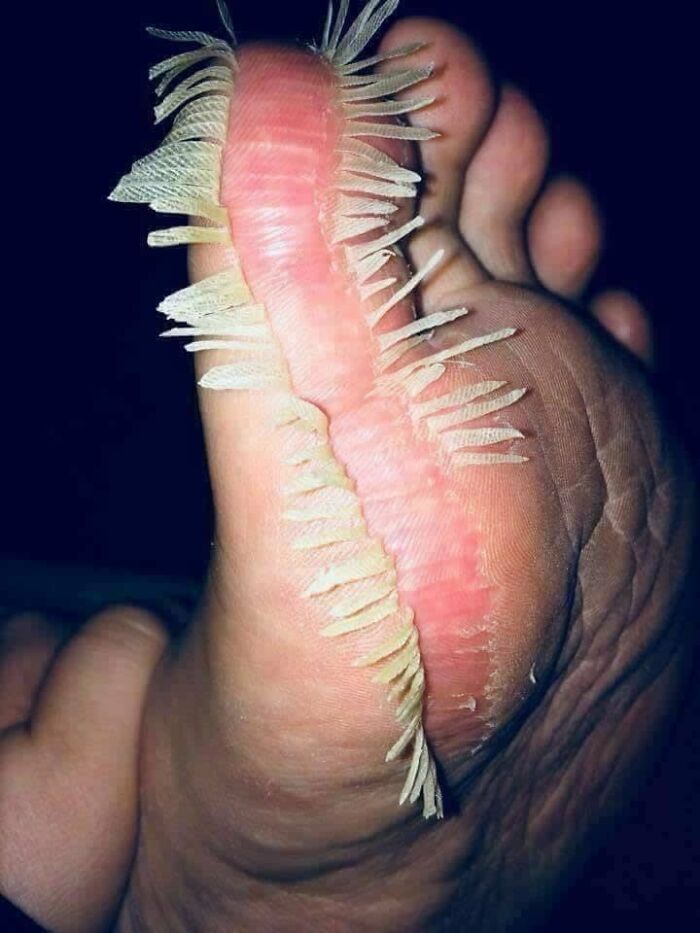 Hey Pandas, Post The Weirdest Image You Have Saved On Your Phone (Closed) Hey Pandas, Post The Weirdest Image You Have Saved On Your Phone (Closed)