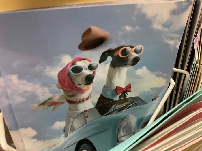 Hey Pandas, Post The Weirdest Image You Have Saved On Your Phone (Closed) Hey Pandas, Post The Weirdest Image You Have Saved On Your Phone (Closed)