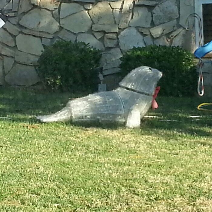 Hey Pandas, Post The Weirdest Image You Have Saved On Your Phone (Closed) Hey Pandas, Post The Weirdest Image You Have Saved On Your Phone (Closed)