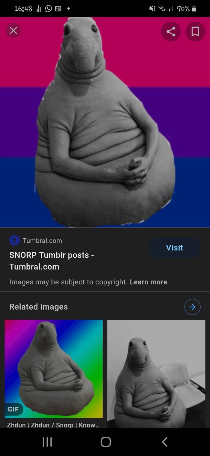 Hey Pandas, Post The Weirdest Image You Have Saved On Your Phone (Closed) Hey Pandas, Post The Weirdest Image You Have Saved On Your Phone (Closed)