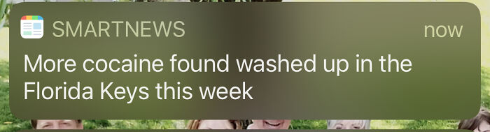 Hey Pandas, Post The Weirdest Image You Have Saved On Your Phone (Closed) Hey Pandas, Post The Weirdest Image You Have Saved On Your Phone (Closed)