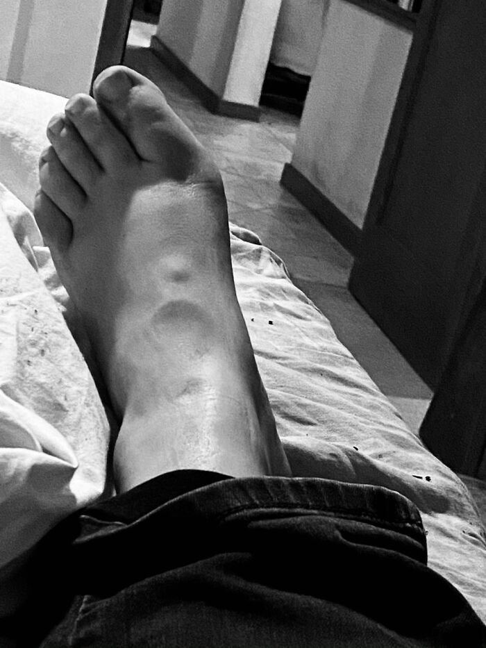 Hey Pandas, Post The Weirdest Image You Have Saved On Your Phone (Closed) Hey Pandas, Post The Weirdest Image You Have Saved On Your Phone (Closed)