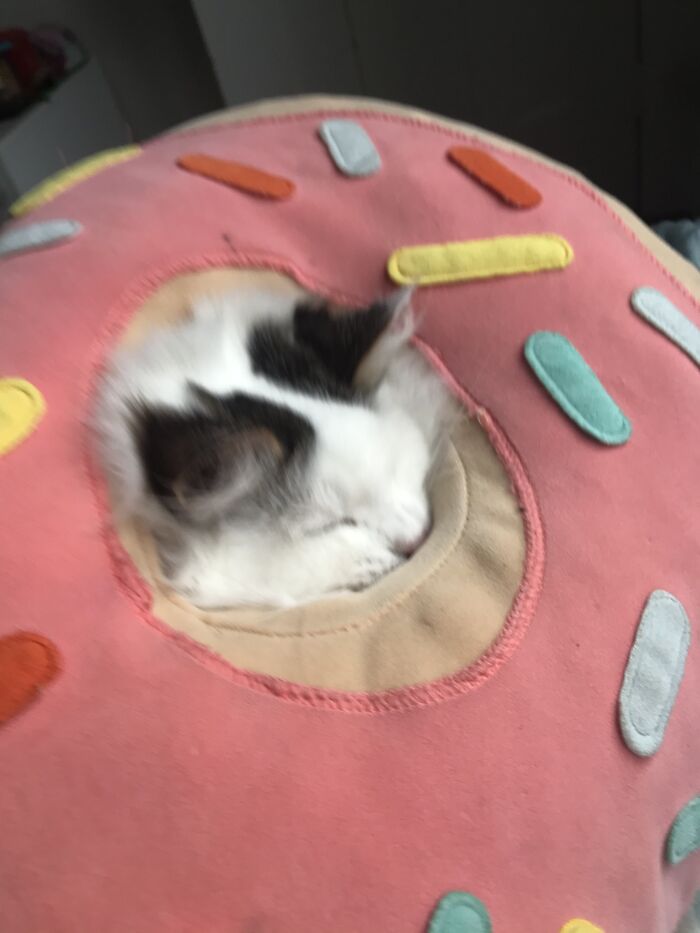 Hey Pandas, Post The Weirdest Image You Have Saved On Your Phone (Closed) Hey Pandas, Post The Weirdest Image You Have Saved On Your Phone (Closed)