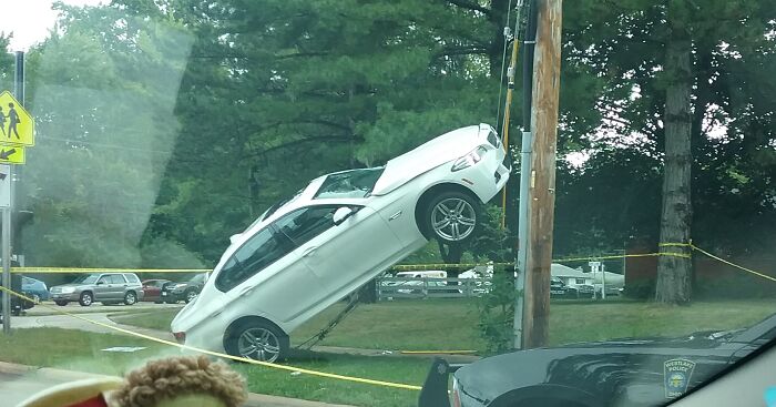 Hey Pandas, Post The Weirdest Image You Have Saved On Your Phone (Closed) Hey Pandas, Post The Weirdest Image You Have Saved On Your Phone (Closed)