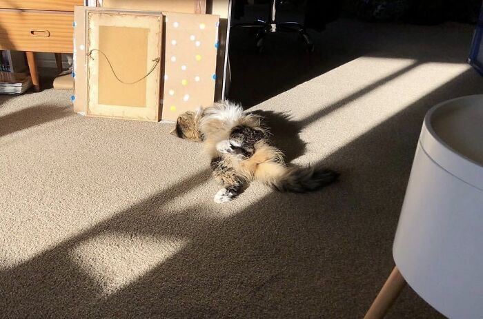 Hey Pandas, Post The Weirdest Image You Have Saved On Your Phone (Closed) Hey Pandas, Post The Weirdest Image You Have Saved On Your Phone (Closed)