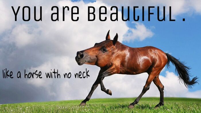 Hey Pandas, Post The Weirdest Image You Have Saved On Your Phone (Closed) Hey Pandas, Post The Weirdest Image You Have Saved On Your Phone (Closed)