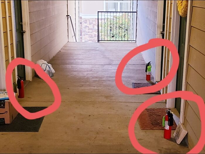 Hey Pandas, Post The Weirdest Image You Have Saved On Your Phone (Closed) Hey Pandas, Post The Weirdest Image You Have Saved On Your Phone (Closed)