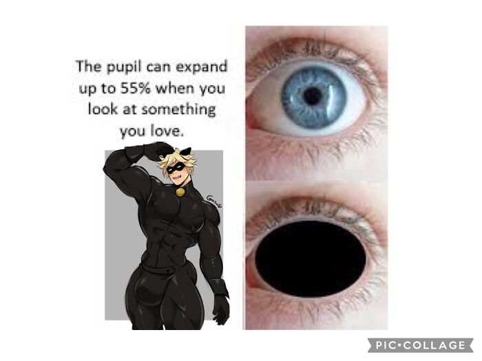 Hey Pandas, Post The Weirdest Image You Have Saved On Your Phone (Closed) Hey Pandas, Post The Weirdest Image You Have Saved On Your Phone (Closed)