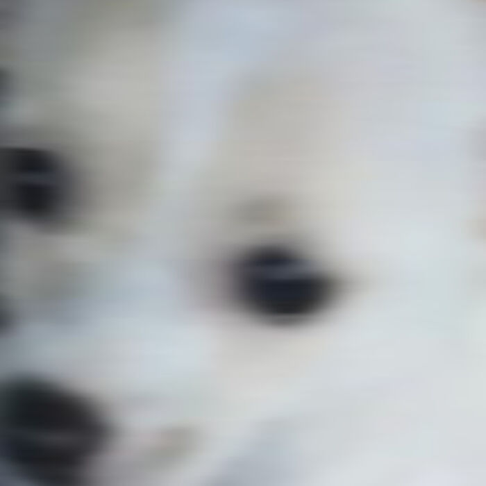 Hey Pandas, Post The Weirdest Image You Have Saved On Your Phone (Closed) Hey Pandas, Post The Weirdest Image You Have Saved On Your Phone (Closed)