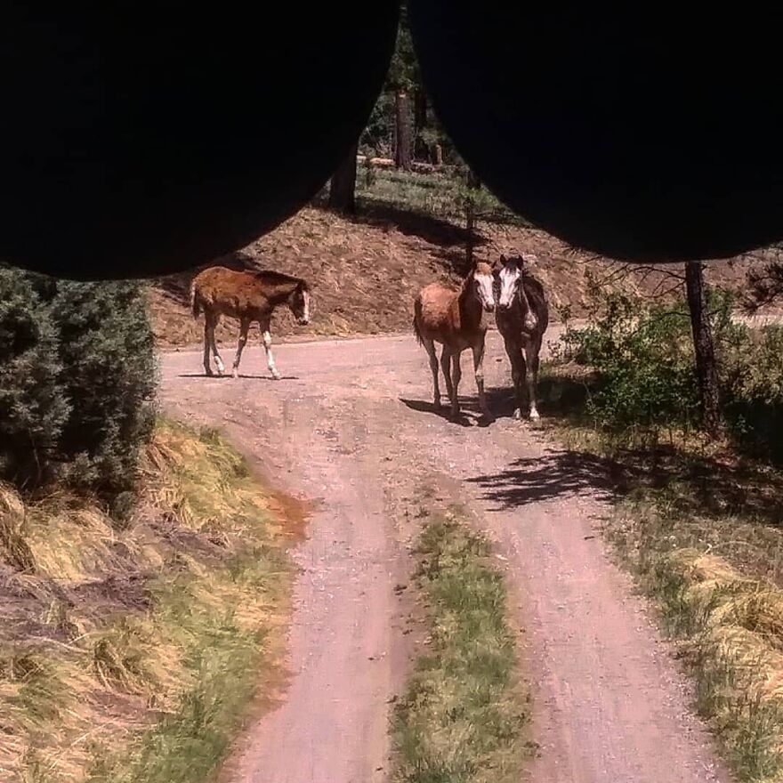 We Built Our Own Camper From Scratch Out In The Desert We Built Our Own Camper From Scratch Out In The Desert