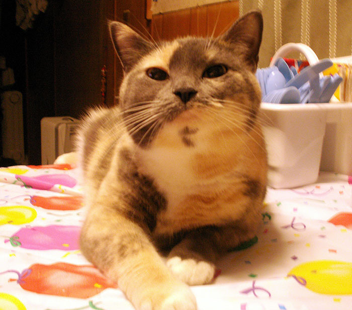 30 People Share Stories Of How Their “Crazy Neighbor” Earned That Name 30 People Share Stories Of How Their “Crazy Neighbor” Earned That Name