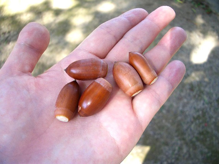 30 People Share Stories Of How Their “Crazy Neighbor” Earned That Name 30 People Share Stories Of How Their “Crazy Neighbor” Earned That Name