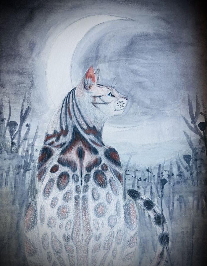 Hey Pandas, Draw A Cat (Closed) Hey Pandas, Draw A Cat (Closed)