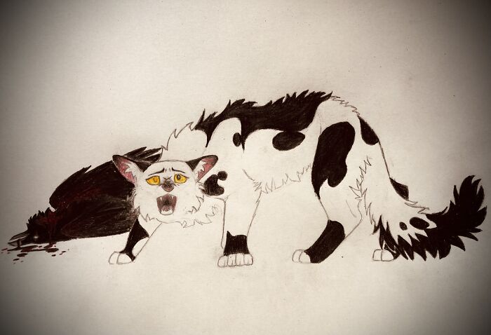 Hey Pandas, Draw A Cat (Closed) Hey Pandas, Draw A Cat (Closed)