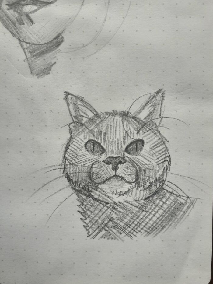 Hey Pandas, Draw A Cat (Closed) Hey Pandas, Draw A Cat (Closed)