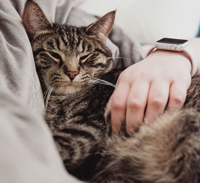 People Are Posting “The One Question” Someone Asked That Broke Them (30 Answers) People Are Posting “The One Question” Someone Asked That Broke Them (30 Answers)