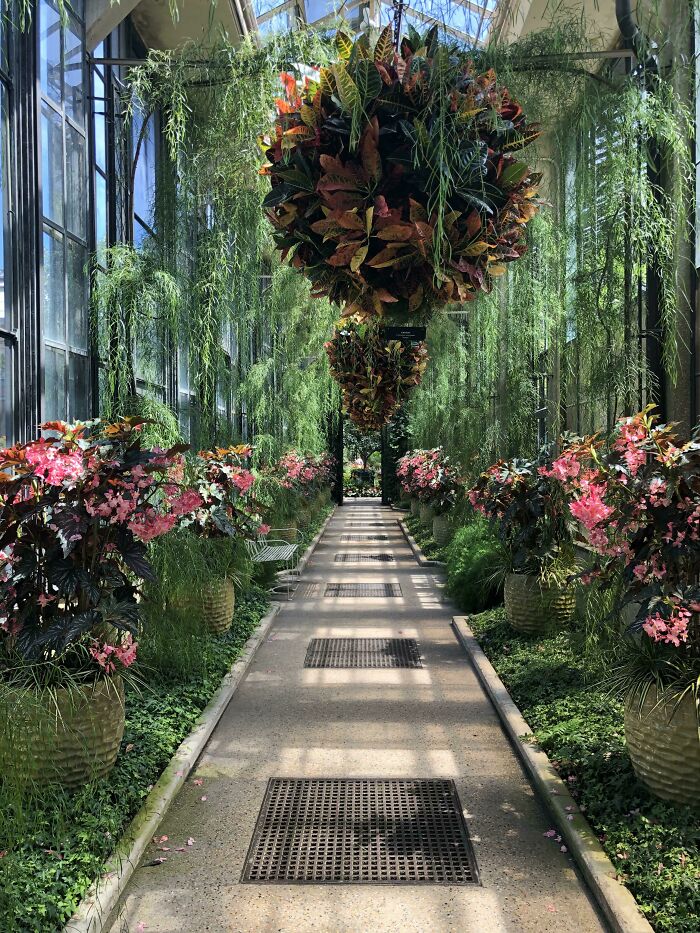 In This Online Group, People Share Examples Of Botanical Wonders And It’s Soul-Refreshing (50 Pics)