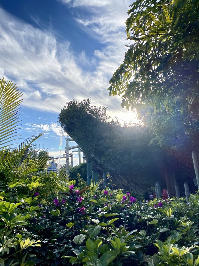 Hey Pandas, Post The Best Photo You’ve Taken (Closed) Hey Pandas, Post The Best Photo You’ve Taken (Closed)