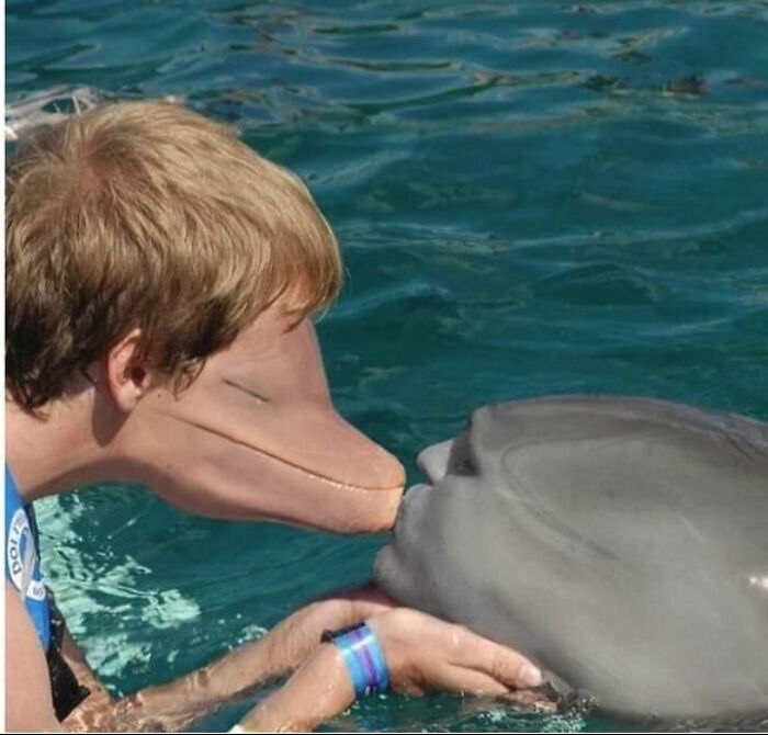 Hey Pandas, Find A Cursed Animorphs Image And Post It Here (Closed) Hey Pandas, Find A Cursed Animorphs Image And Post It Here (Closed)