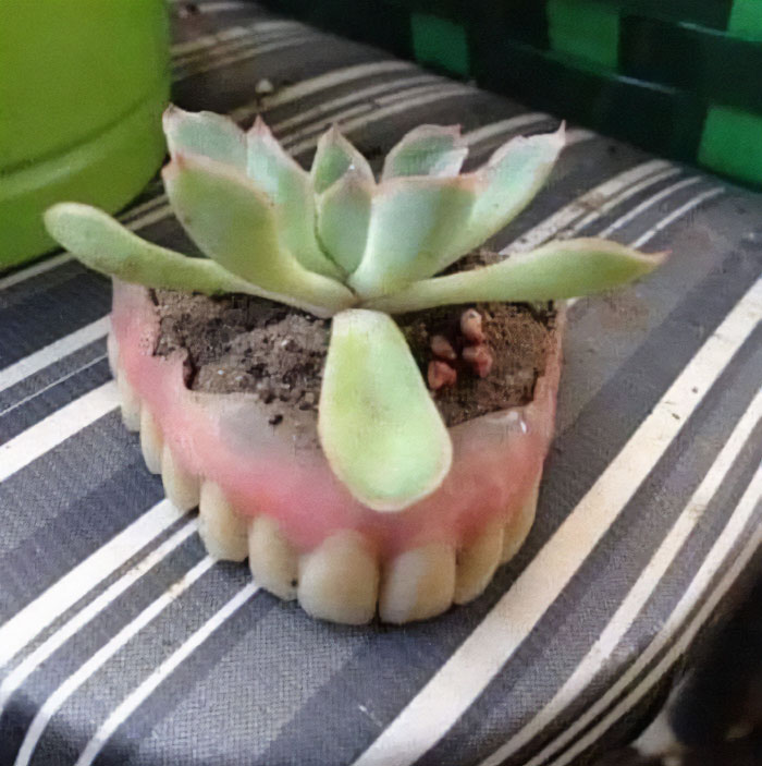 “That’s It, I’m Craft Shaming”: 40 Posts About People Who Haven’t Mastered The Art Of DIY “That’s It, I’m Craft Shaming”: 40 Posts About People Who Haven’t Mastered The Art Of DIY