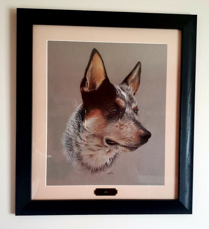 Hey Pandas, Draw Your Pet (Closed) Hey Pandas, Draw Your Pet (Closed)