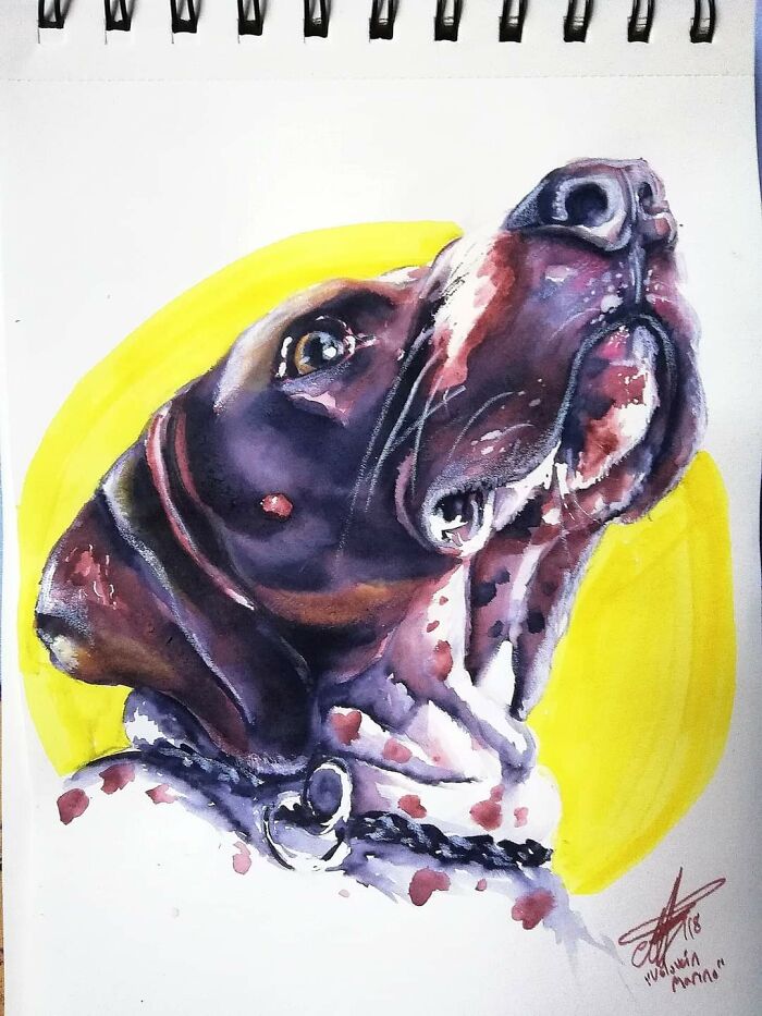 Hey Pandas, Draw Your Pet (Closed) Hey Pandas, Draw Your Pet (Closed)