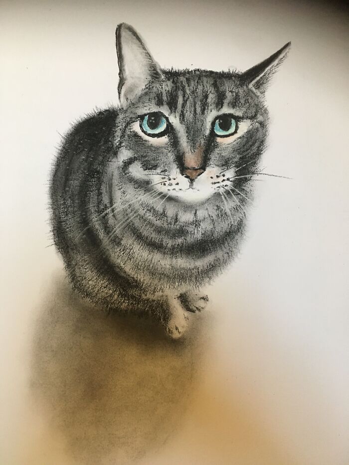 Hey Pandas, Draw Your Pet (Closed) Hey Pandas, Draw Your Pet (Closed)