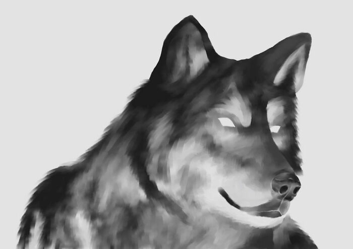 Hey Pandas, Draw Your Pet (Closed) Hey Pandas, Draw Your Pet (Closed)