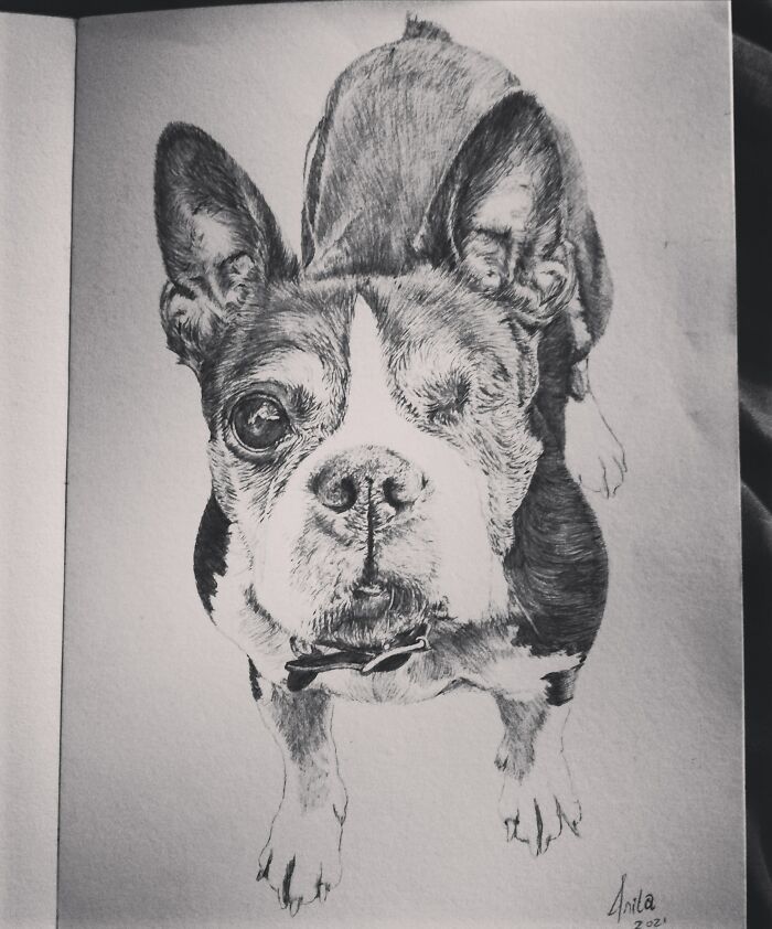 Hey Pandas, Draw Your Pet (Closed) Hey Pandas, Draw Your Pet (Closed)