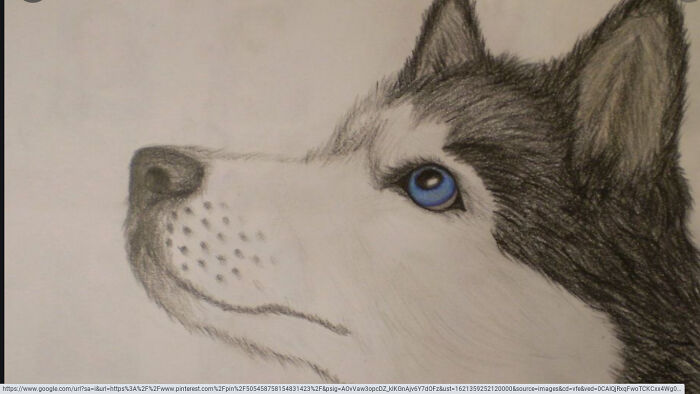 Hey Pandas, Draw Your Pet (Closed) Hey Pandas, Draw Your Pet (Closed)