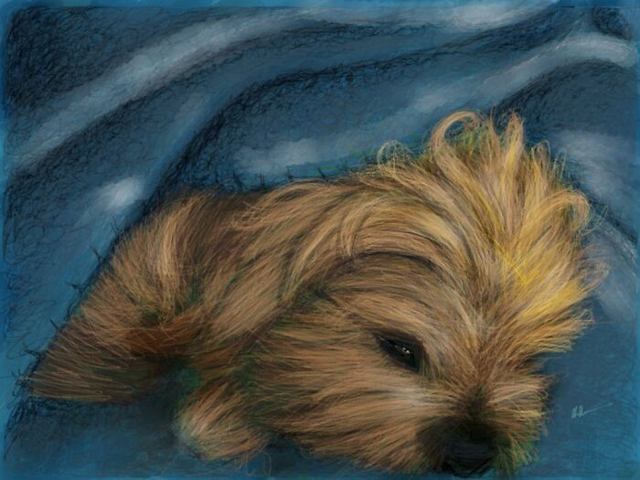 Hey Pandas, Draw Your Pet (Closed) Hey Pandas, Draw Your Pet (Closed)