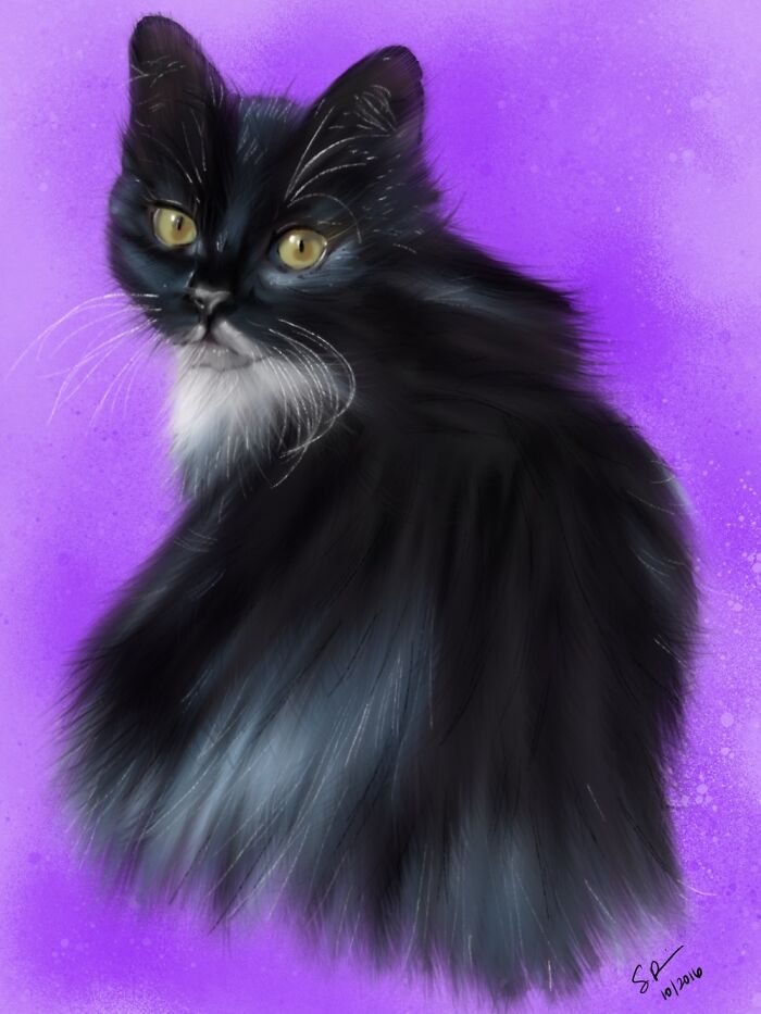 Hey Pandas, Draw Your Pet (Closed) Hey Pandas, Draw Your Pet (Closed)