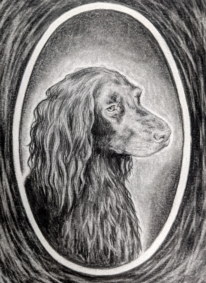 Hey Pandas, Draw Your Pet (Closed) Hey Pandas, Draw Your Pet (Closed)