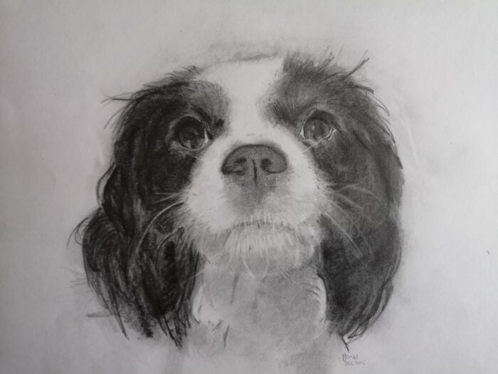 Hey Pandas, Draw Your Pet (Closed) Hey Pandas, Draw Your Pet (Closed)