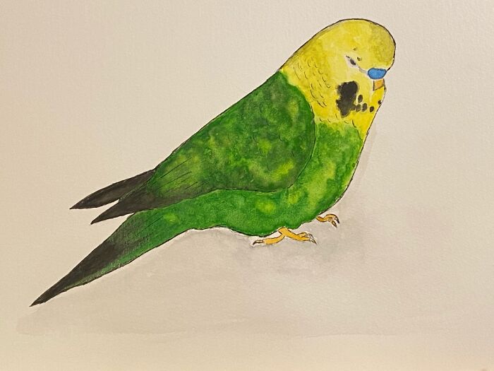 Hey Pandas, Draw Your Pet (Closed) Hey Pandas, Draw Your Pet (Closed)