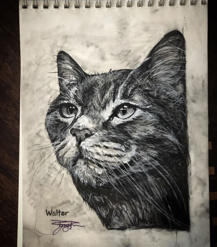 Hey Pandas, Draw Your Pet (Closed) Hey Pandas, Draw Your Pet (Closed)