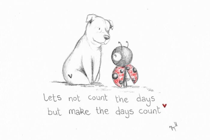 I Made 25 Drawings Of A Ladybug And A Dog And They Share Motivational Quotes About Life I Made 25 Drawings Of A Ladybug And A Dog And They Share Motivational Quotes About Life