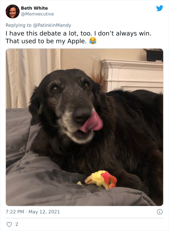 29 Dogs Making Faces To Let Their Owners Know How Much They Want Their Food 29 Dogs Making Faces To Let Their Owners Know How Much They Want Their Food