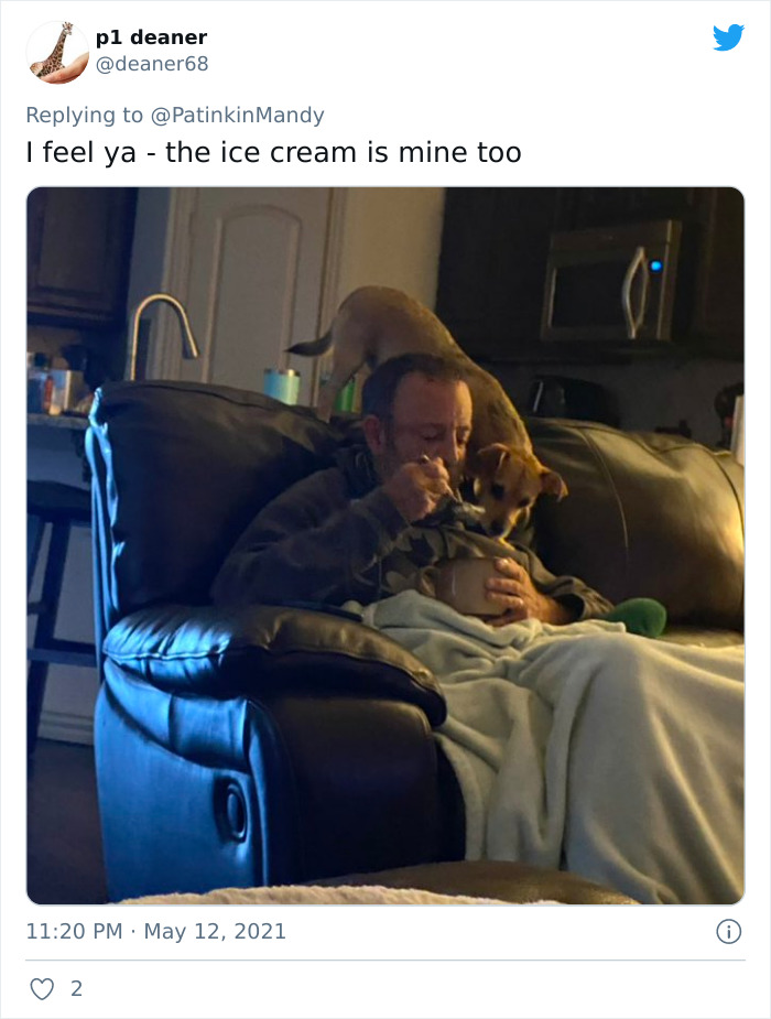 29 Dogs Making Faces To Let Their Owners Know How Much They Want Their Food 29 Dogs Making Faces To Let Their Owners Know How Much They Want Their Food