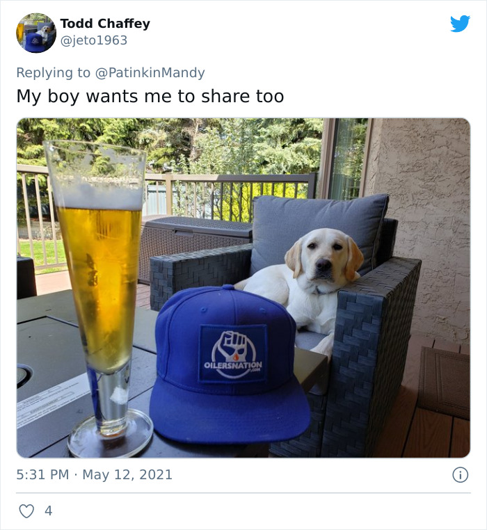 29 Dogs Making Faces To Let Their Owners Know How Much They Want Their Food 29 Dogs Making Faces To Let Their Owners Know How Much They Want Their Food