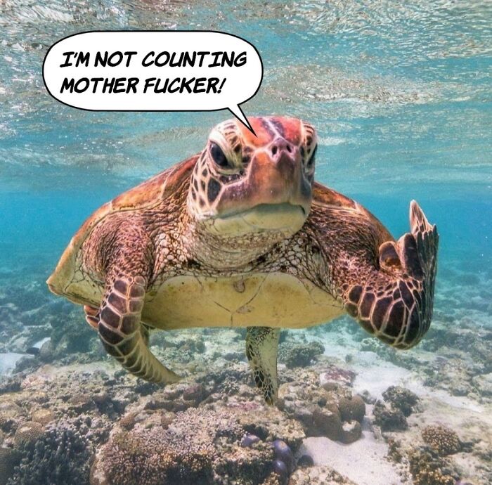 Hey Pandas, What Is Your All-Time Favorite Meme? (Closed) Hey Pandas, What Is Your All-Time Favorite Meme? (Closed)