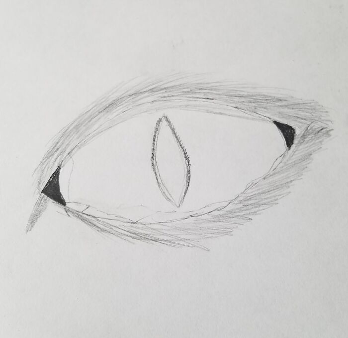 Hey Pandas, Draw A Realistic Eye (Closed) Hey Pandas, Draw A Realistic Eye (Closed)