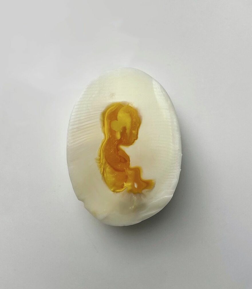 71 Surreal Digital Manipulations By Alessandro Malossi 71 Surreal Digital Manipulations By Alessandro Malossi