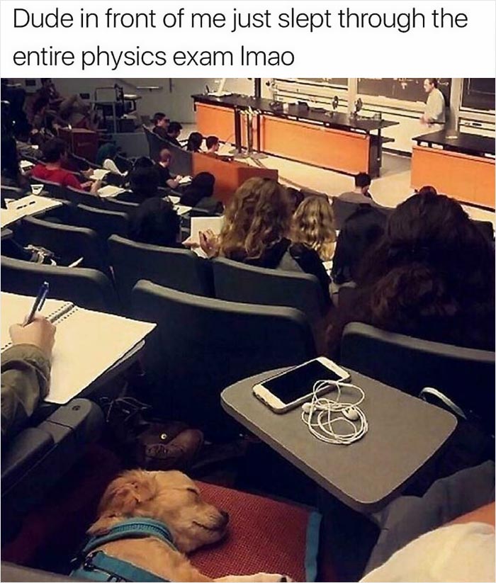 50 Memes That Hilariously Sum Up Student Life 50 Memes That Hilariously Sum Up Student Life