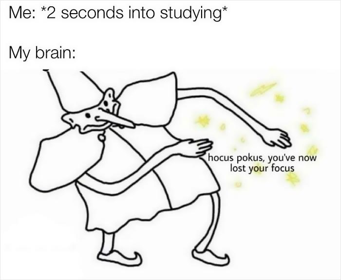 50 Memes That Hilariously Sum Up Student Life 50 Memes That Hilariously Sum Up Student Life